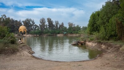 As part of its programs, Vantara also emphasizes integrating advanced research and collaborating with renowned international universities and organizations like the International Union for Conservation of Nature (IUCN) and the World Wildlife Fund for Nature (WWF).&nbsp; (HT Photo/Raju Shinde)