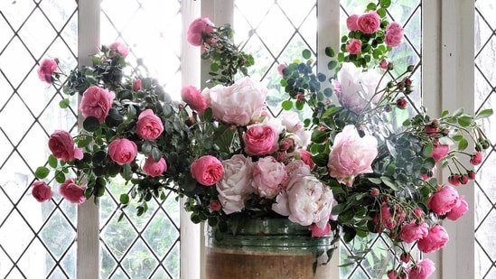The lifespan of a beautiful vase of flowers can be extended with the right care (Instagram)