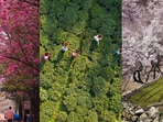 From hiking routes, indigenous cultural programmes and views that make you want to spring into a spring mood, these destinations just might inspire you to take a spring break.
