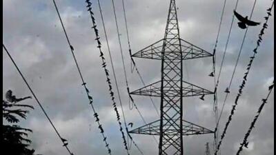The MSEDCL has also appealed to its staff to take police protection if necessary while disconnecting defaulters’ power supply. (REPRESENTATIVE PHOTO) The MSEDCL has also appealed to its staff to take police protection if necessary while disconnecting defaulters’ power supply. (REPRESENTATIVE PHOTO)