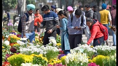 Visitors during the flower show and competition in Ludhiana. (HT) Visitors during the flower show and competition in Ludhiana. (HT)