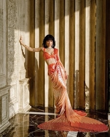 Halsey in a Manish Malhotra saree (Instagram) Halsey in a Manish Malhotra saree (Instagram)