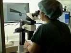 As South Korea's birth rate hits fresh lows, Seoul city officials have a plan to help -- subsidised egg freezing. But experts warn the initiative is unlikely to reverse precipitous demographic decline. (AFP) As South Korea's birth rate hits fresh lows, Seoul city officials have a plan to help -- subsidised egg freezing. But experts warn the initiative is unlikely to reverse precipitous demographic decline. (AFP)