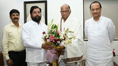 Maharashtra CM Eknath Shinde, Sharad Pawar and Ajit Pawar. (X/ @mieknathshinde (File image)) Maharashtra CM Eknath Shinde, Sharad Pawar and Ajit Pawar. (X/ @mieknathshinde (File image))