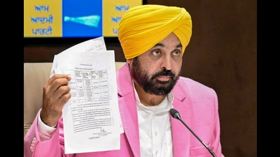 Punjab CM Bhagwant Mann addressing a press conference in Chandigarh on Thursday. (PTI)