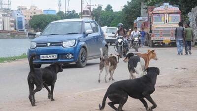 (Diwakar Prasad/HT Photo The 10-year-old girl was finally freed from the dog by neighbours who rushed her to a hospital, according to her family. Meanwhile, a police team visited the girl and the neighbour, and said that the corporation would verify the dog’s breed.) (Diwakar Prasad/HT Photo The 10-year-old girl was finally freed from the dog by neighbours who rushed her to a hospital, according to her family. Meanwhile, a police team visited the girl and the neighbour, and said that the corporation would verify the dog’s breed.)