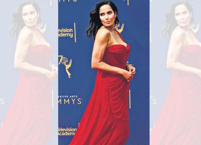 TV show host Padma Lakshmi wrote about Amul cheese in her memoir. (Shutterstock) TV show host Padma Lakshmi wrote about Amul cheese in her memoir. (Shutterstock)