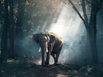 World Wildlife Day 2024: Date, theme, history, significance and more World Wildlife Day 2024: Date, theme, history, significance and more