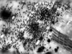 This image grab from a handout video released by the Israeli army on February 29, 2024, shows what the army says are Gazans around aid trucks in Gaza City. This image grab from a handout video released by the Israeli army on February 29, 2024, shows what the army says are Gazans around aid trucks in Gaza City.
