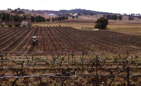 Since its inception, Pokolbin has served as the focal point of the Hunter Valley wine region. (Wikipedia) Since its inception, Pokolbin has served as the focal point of the Hunter Valley wine region. (Wikipedia)