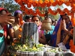 Devotees offering Milk, Honey and Coconut water on a Shivling on the Maha Shivratri festival. Devotees offering Milk, Honey and Coconut water on a Shivling on the Maha Shivratri festival.