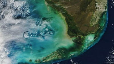 NASA said that scientists have long speculated about these clouds, referred to as "cavum clouds," (Instagram/nasaearth) NASA said that scientists have long speculated about these clouds, referred to as "cavum clouds," (Instagram/nasaearth)