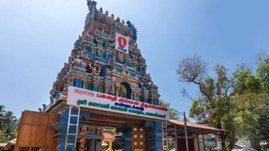 Temple tantri Edakkode Sankaranarayana Iyer initiated the festival rituals in the morning, amid the chanting of "Amme Saranam, Devi Saranam". (File) (X/@tntourismofcl)