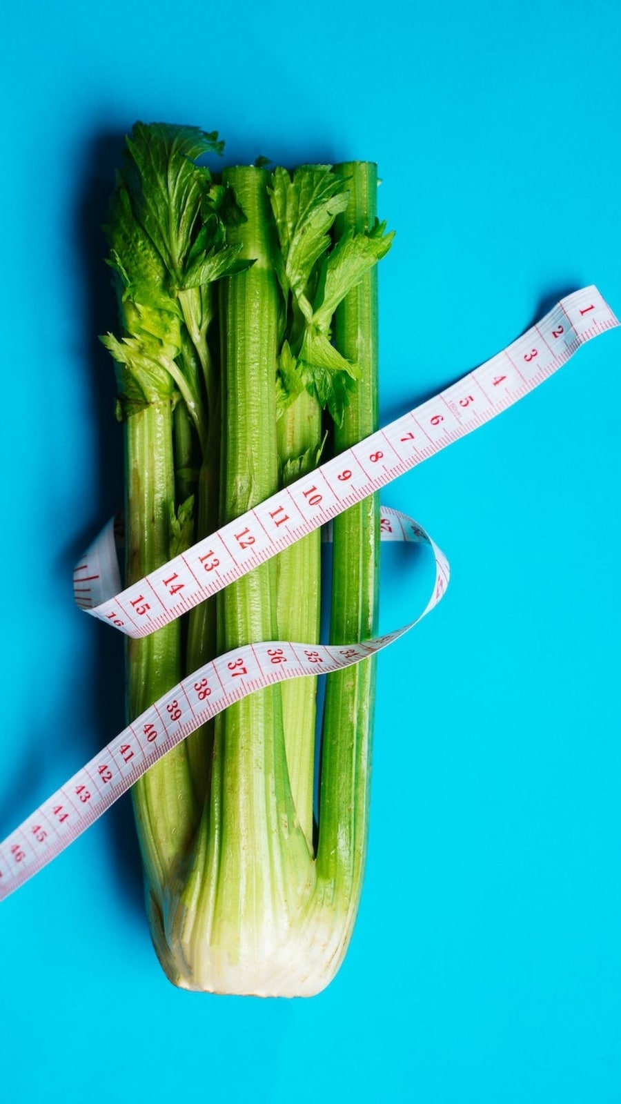 celery1