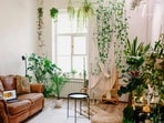 Go with the botanical home décor trend that is soothing as well as aesthetically-pleasing (Pexels)