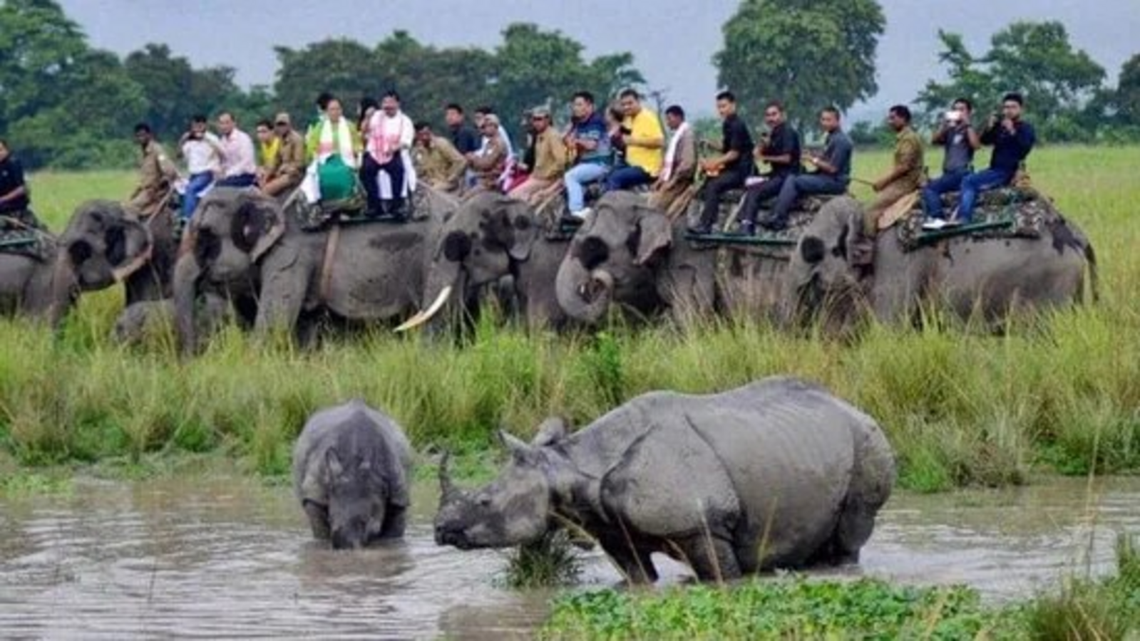 PM Modi's visit prompts closure of jeep safari, elephant ride in Kaziranga | Travel - Hindustan Times