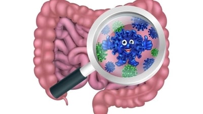 Can restoring gut health through diet, reduce cancer risk, prevent tumour? Know gut microbiome potential in cancer care (Photo by WomenH) Can restoring gut health through diet, reduce cancer risk, prevent tumour? Know gut microbiome potential in cancer care (Photo by WomenH)