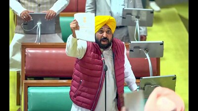 Punjab CM Bhagwant Mann and Congress MLAs during a heated argument in the Punjab Assembly in Chandigarh on Monday. (ANI) Punjab CM Bhagwant Mann and Congress MLAs during a heated argument in the Punjab Assembly in Chandigarh on Monday. (ANI)