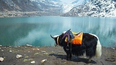 The picturesque Tsomgo Lake in Sikkim (Representational picture) (File photo)
