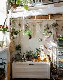 Touches of greenery look just as pretty on walls and shelves (Pexels) Touches of greenery look just as pretty on walls and shelves (Pexels)