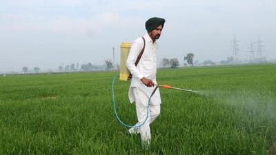 A sum of ₹194 crore has been set aside for conservation of soil and water in the 2024-25 fiscal. (HT FILE) A sum of ₹194 crore has been set aside for conservation of soil and water in the 2024-25 fiscal. (HT FILE)