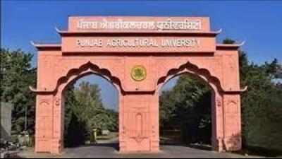 Agri varsity V-C welcomes  ₹40-cr allocation for PAU in budget . (HT)