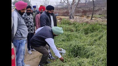 Joint teams of agriculture and revenue department during a survey. (HT)