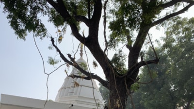 The temple in Gurugram’s Old DLF Colony. (HT Photo) The temple in Gurugram’s Old DLF Colony. (HT Photo)