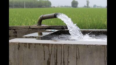 There are about 14.73 lakh private tube wells in the rural areas and 5,188 in urban areas of the state (Sourced) There are about 14.73 lakh private tube wells in the rural areas and 5,188 in urban areas of the state (Sourced)