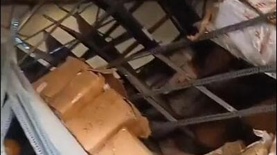 Three people got stuck underneath the collapsed racks and were rushed to the hospital, where one person, identified as 28-year-old Manish Singh, a resident of Achheja village, was declared dead while two others were given preliminary treatment for minor injuries. (HT Photo) Three people got stuck underneath the collapsed racks and were rushed to the hospital, where one person, identified as 28-year-old Manish Singh, a resident of Achheja village, was declared dead while two others were given preliminary treatment for minor injuries. (HT Photo)