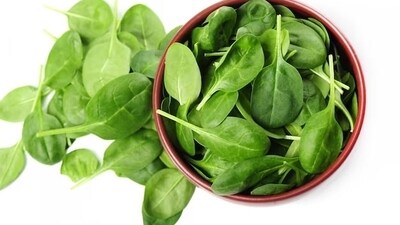 Spinach is rich in antioxidants and minerals and helps in building blood and aiding digestion. It should be consumed on a regular basis. (Freepik) Spinach is rich in antioxidants and minerals and helps in building blood and aiding digestion. It should be consumed on a regular basis. (Freepik)
