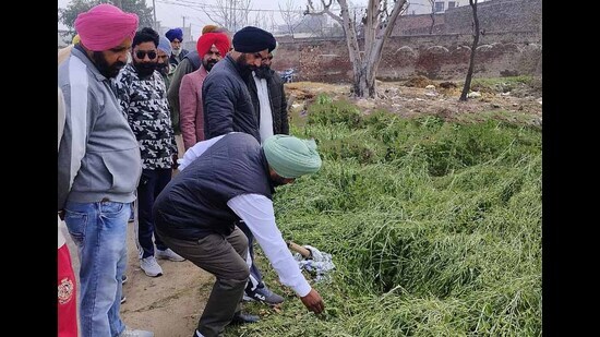 Joint teams of agriculture and revenue department during a survey. (HT)