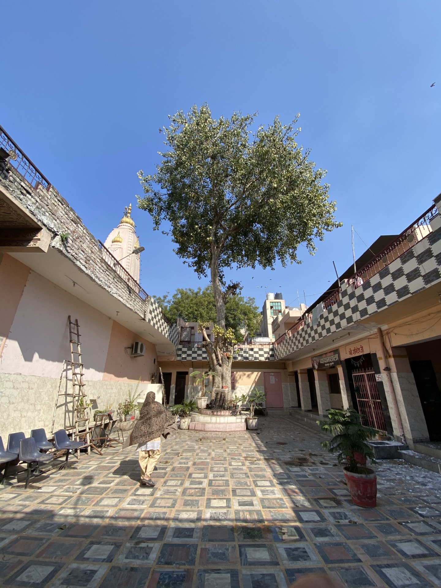 The temple at Gurugram’s Jacobpura. (HT Photo) The temple at Gurugram’s Jacobpura. (HT Photo)
