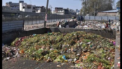 A view of the dumping of garbage in the pond of Gill village in Ludhiana on Wednesday, March 06, 2024. (Manish/HT Photo) A view of the dumping of garbage in the pond of Gill village in Ludhiana on Wednesday, March 06, 2024. (Manish/HT Photo)