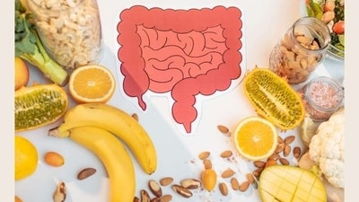 Talking about Gut Dysbiosis and the role of Short-Chain Fatty Acids, she said, “Disbalance in the microbiota profile in the gut is called dysbiosis. Research has shown that dysbiosis in the gut can lead to loss of bone density. One of the key mechanisms through which the gut microbiota influences bone health is the production of short-chain fatty acids (SCFAs). SCFAs are byproducts of the fermentation of dietary fiber by gut bacteria. These compounds have been shown to enhance calcium absorption, reduce inflammation, and promote bone formation. Research indicates that higher levels of SCFAs are associated with increased bone mineral density (BMD) in postmenopausal women. This underscores the importance of maintaining a healthy gut microbiota to support optimal bone health.” (Photo by Pinterest) Talking about Gut Dysbiosis and the role of Short-Chain Fatty Acids, she said, “Disbalance in the microbiota profile in the gut is called dysbiosis. Research has shown that dysbiosis in the gut can lead to loss of bone density. One of the key mechanisms through which the gut microbiota influences bone health is the production of short-chain fatty acids (SCFAs). SCFAs are byproducts of the fermentation of dietary fiber by gut bacteria. These compounds have been shown to enhance calcium absorption, reduce inflammation, and promote bone formation. Research indicates that higher levels of SCFAs are associated with increased bone mineral density (BMD) in postmenopausal women. This underscores the importance of maintaining a healthy gut microbiota to support optimal bone health.” (Photo by Pinterest)