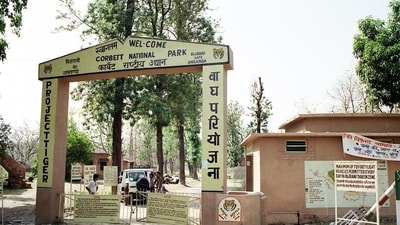 The Corbett Tiger Reserve. (HT PHOTO/File) (HT_PRINT)