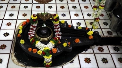 Bael (Wood Apple) Fruit: The bael fruit is considered highly auspicious and is offered to Lord Shiva as a symbol of devotion and surrender. It is believed to bring blessings for spiritual growth and enlightenment. (HT File Photo/Rahul Raut) Bael (Wood Apple) Fruit: The bael fruit is considered highly auspicious and is offered to Lord Shiva as a symbol of devotion and surrender. It is believed to bring blessings for spiritual growth and enlightenment. (HT File Photo/Rahul Raut)