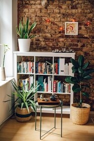 Use plants to accentuate the bookshelf area (Pexels)