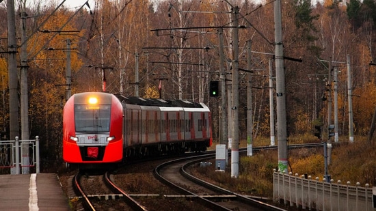 Lasse Stolley also said that he worries about his safety on trains. (Unsplash)