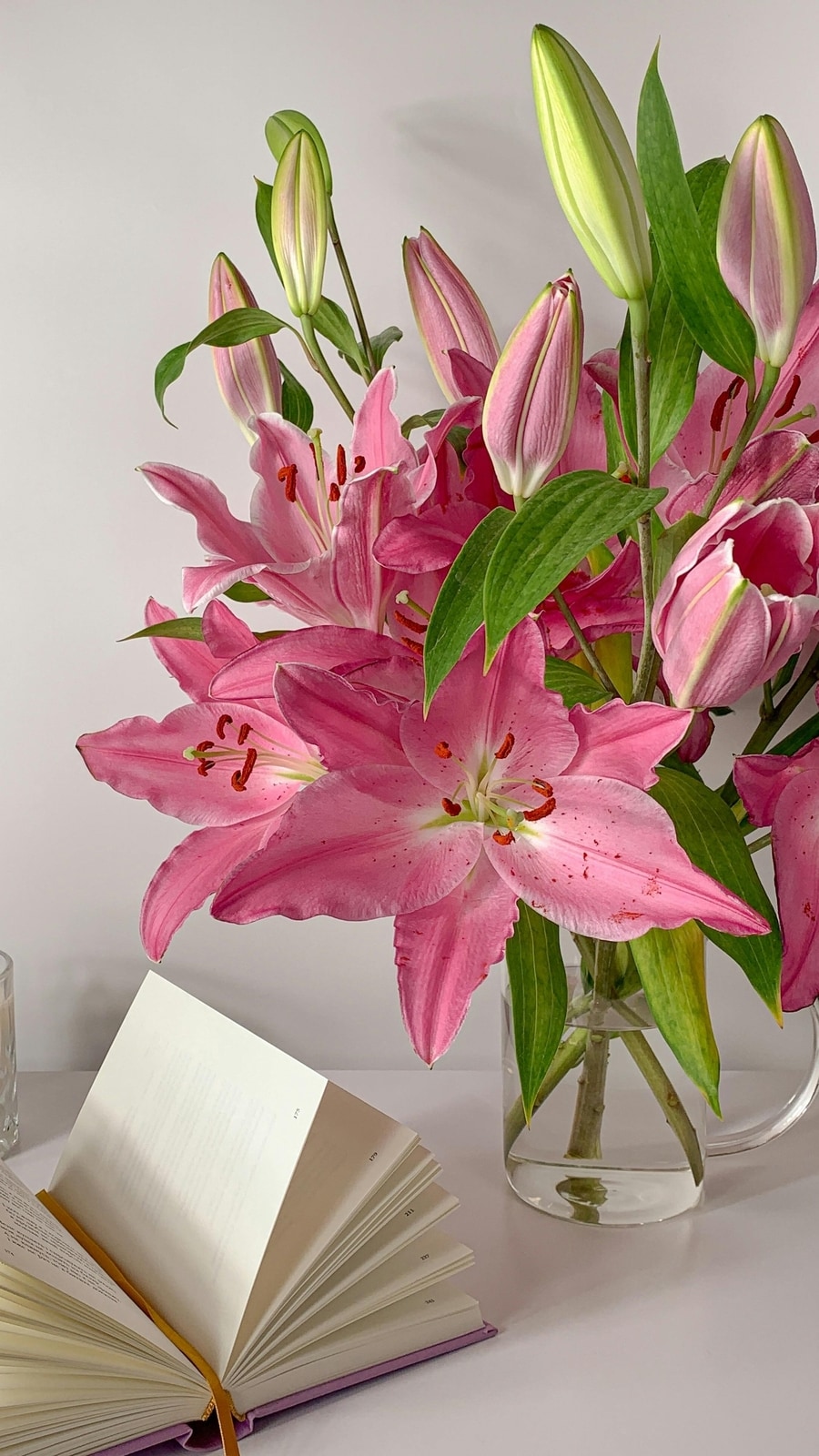 lily_plant