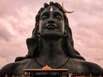 In many places, Rudra Abhishek Puja is done on Maha Shivratri.(Isha.Foundation/Instagram)