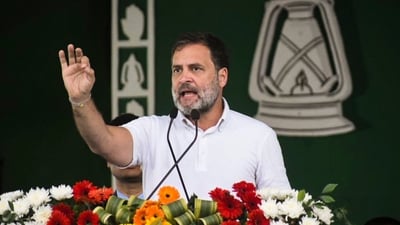 Rahul Gandhi will be contesting from Wayanad in the 2024 Lok Sabha election. No discussion on a second seat took place on Thursday. (PTI) Rahul Gandhi will be contesting from Wayanad in the 2024 Lok Sabha election. No discussion on a second seat took place on Thursday. (PTI)