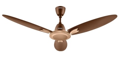 Best Usha fans: Bringing cool vibes and a breath of fresh air to your home sweet home. Best Usha fans: Bringing cool vibes and a breath of fresh air to your home sweet home.