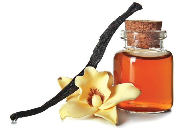 Vanillin can be extracted from pine cones and wood pulp, not from the vanilla orchid. (Adobe Stock) Vanillin can be extracted from pine cones and wood pulp, not from the vanilla orchid. (Adobe Stock)