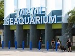 Visitors exit the Miami Seaquarium, Thursday, March 7, 2024, in Key Biscayne, Fla. The Miami Seaquarium, an old-Florida style tourist attraction that was home to Lolita, the beloved Orca that died last year, is being evicted from the waterfront property it leases from Miami-Dade County. (AP Photo/Marta Lavandier)