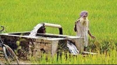 As per SOPs, farmers are required to clear any outstanding arrears, as on March 31, 2023, against their tube well connections to access free power benefits. (Pic for representation)