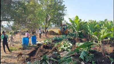 During the drive, 13 huts, an illegally constructed pipeline, and a banana farm were removed from Kathapur Village. (HT PHOTO)