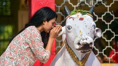 A devotee whispers in the ear of the 'Nandi' bull on the Mahashivratri festival at a Shiv temple, in Nagaon district of Assam. (PTI)