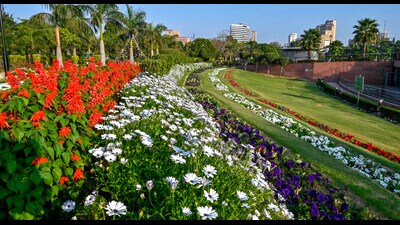 The flower festival, to be held at Connaught Place’s Central Park, will be officially opened by LG VK Saxena on Saturday. (Raj k Raj/HT photos) The flower festival, to be held at Connaught Place’s Central Park, will be officially opened by LG VK Saxena on Saturday. (Raj k Raj/HT photos)