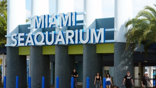 Visitors exit the Miami Seaquarium, Thursday, March 7, 2024, in Key Biscayne, Fla. The Miami Seaquarium, an old-Florida style tourist attraction that was home to Lolita, the beloved Orca that died last year, is being evicted from the waterfront property it leases from Miami-Dade County. (AP Photo/Marta Lavandier) (AP)